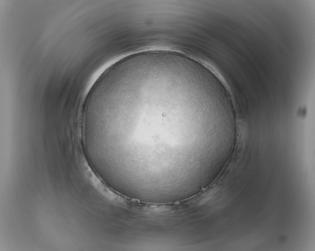 X0000111031148200907091539