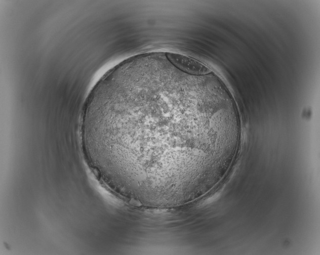 X0000111031149200907091539