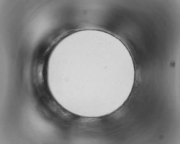 X0000111031150200907091539