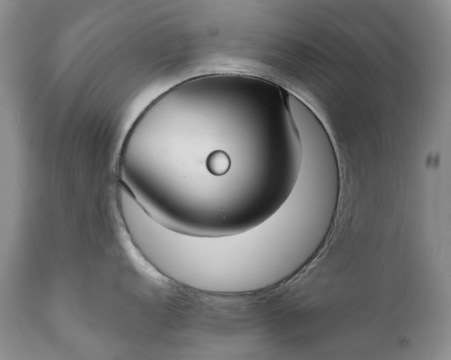 X0000111031152200907091539