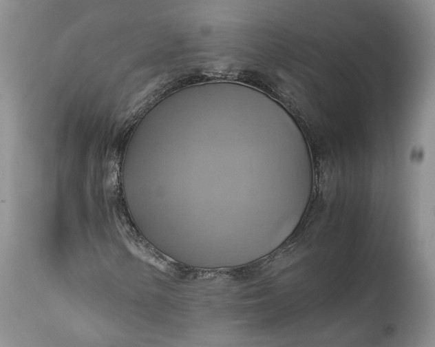 X0000111031154200907091538