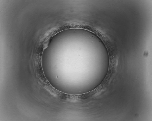 X0000111031157200907091538