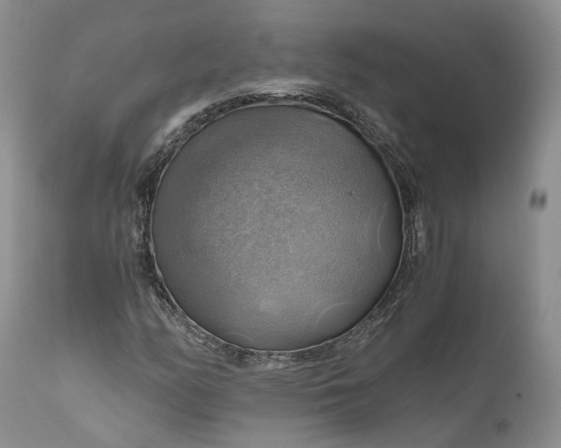 X0000111031158200907091538