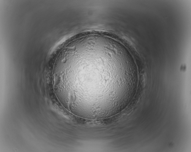 X0000111031159200907091538