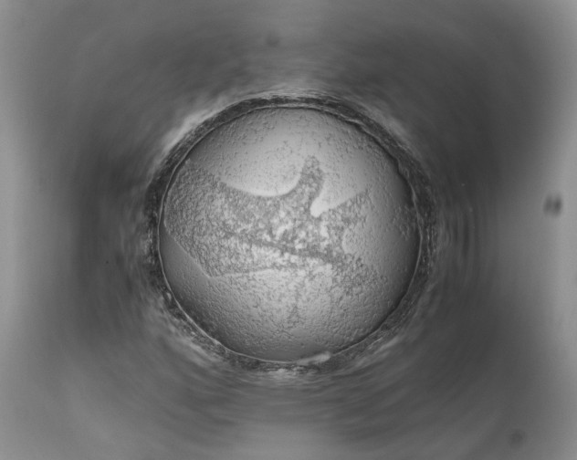 X0000111031160200907091538