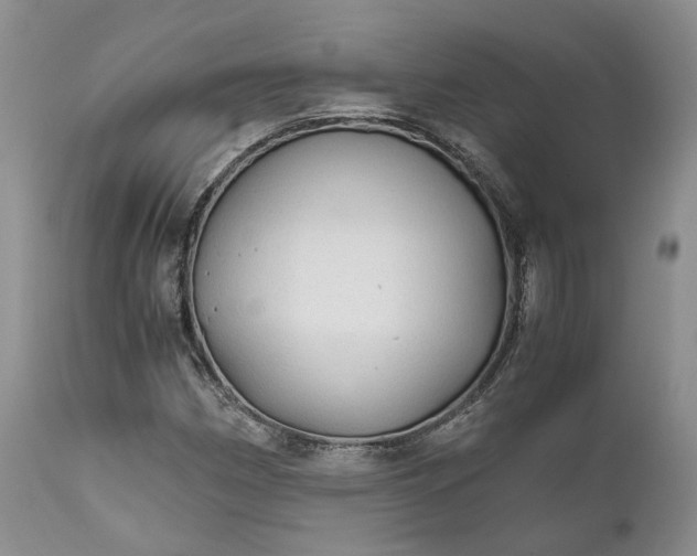 X0000111031162200907091538