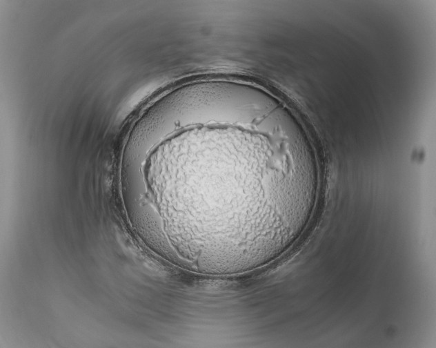 X0000111031163200907091538