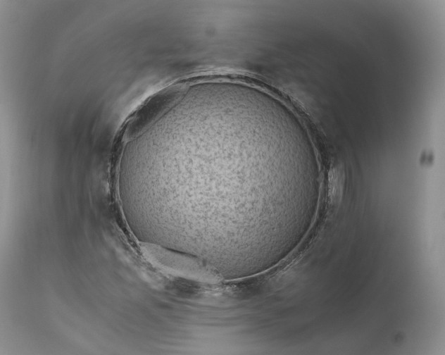 X0000111031165200907091538
