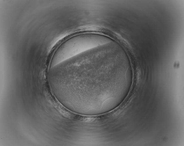 X0000111031166200907091538