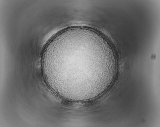 X0000111031167200907091538
