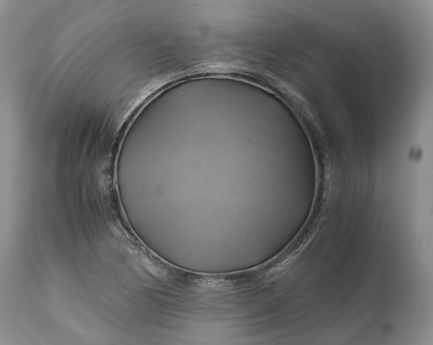 X0000111031170200907091538