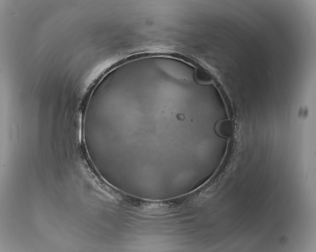 X0000111031171200907091538