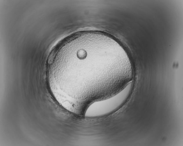X0000111031173200907091538