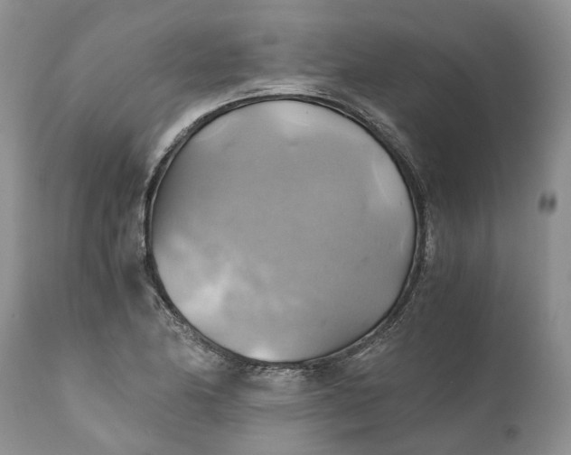 X0000111031174200907091538