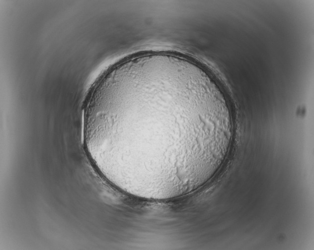 X0000111031175200907091538