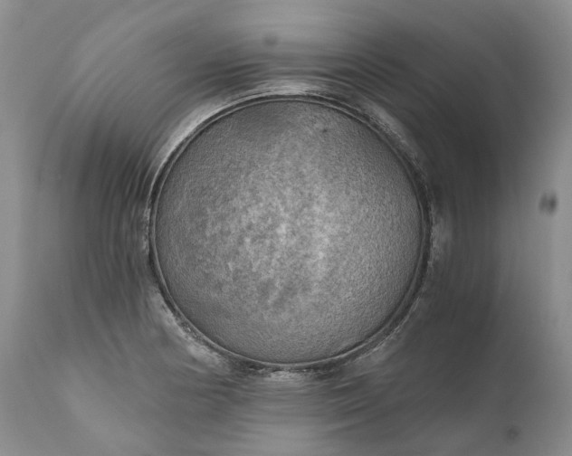 X0000111031178200907091538