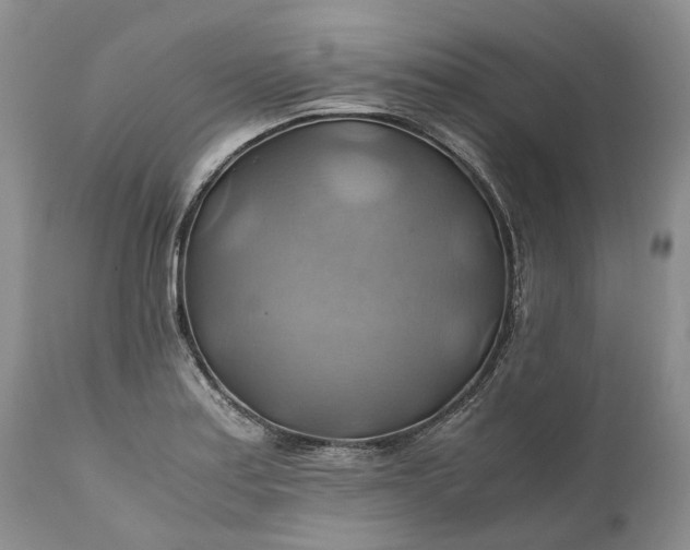 X0000111031179200907091538