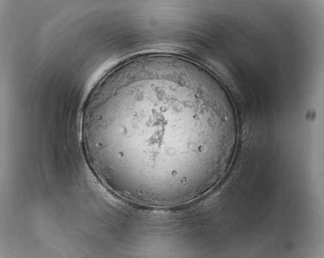 X0000111031180200907091538