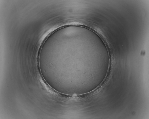 X0000111031181200907091538