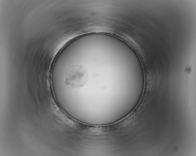 X0000111031182200907091537