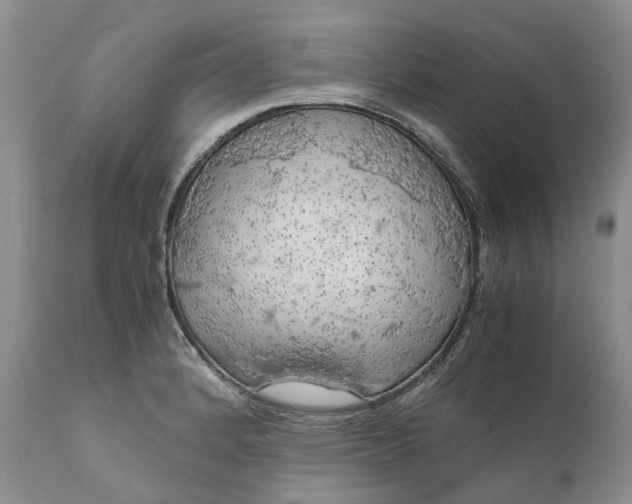 X0000111031184200907091537
