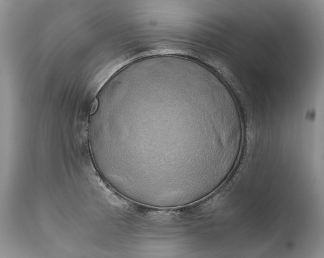 X0000111031185200907091537