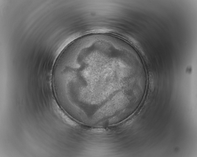 X0000111031186200907091537