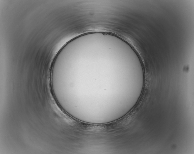 X0000111031187200907091537
