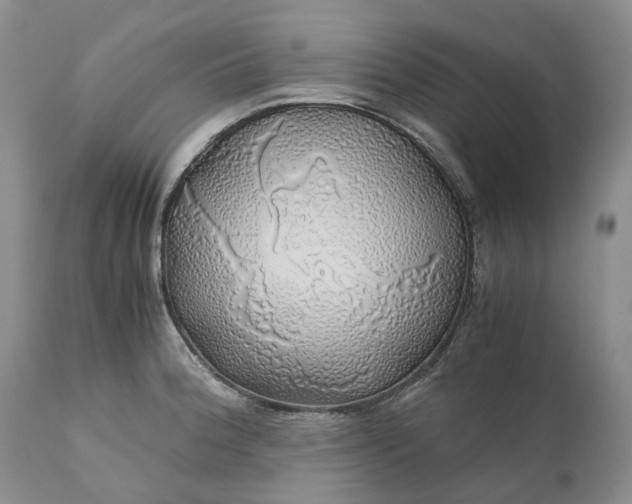 X0000111031188200907091537