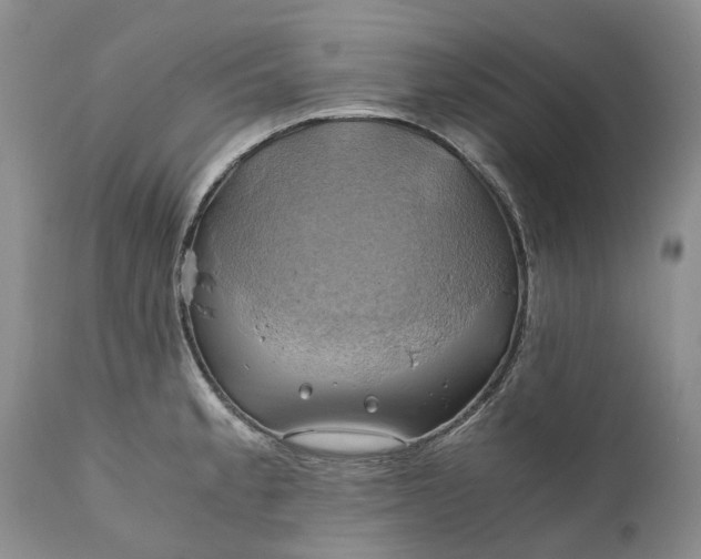 X0000111031189200907091537