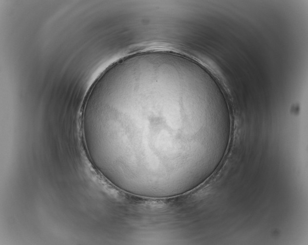 X0000111031190200907091537