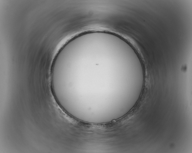 X0000111031191200907091537