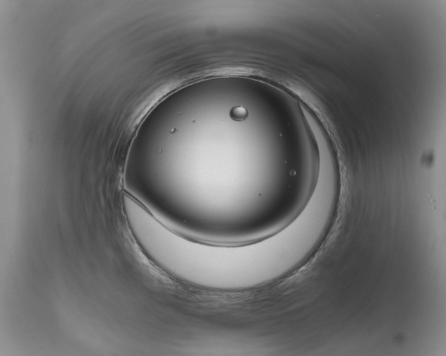 X0000111031193200907091537