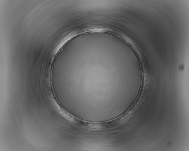 X0000111031194200907091537