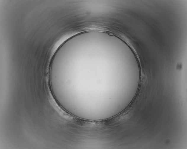 X0000111031195200907091537