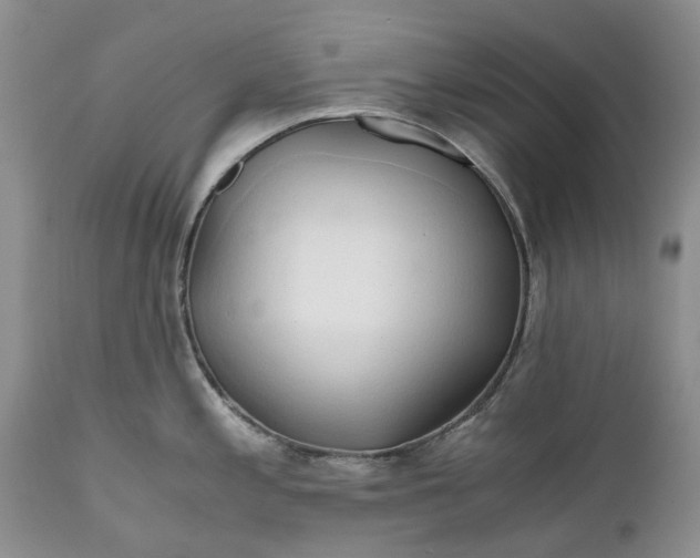 X0000111031197200907091537