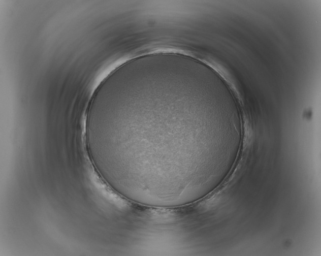 X0000111031198200907091537