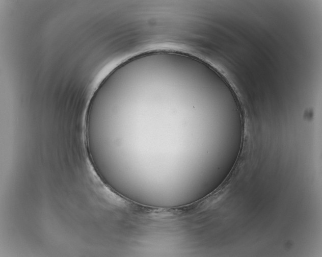 X0000111031199200907091537