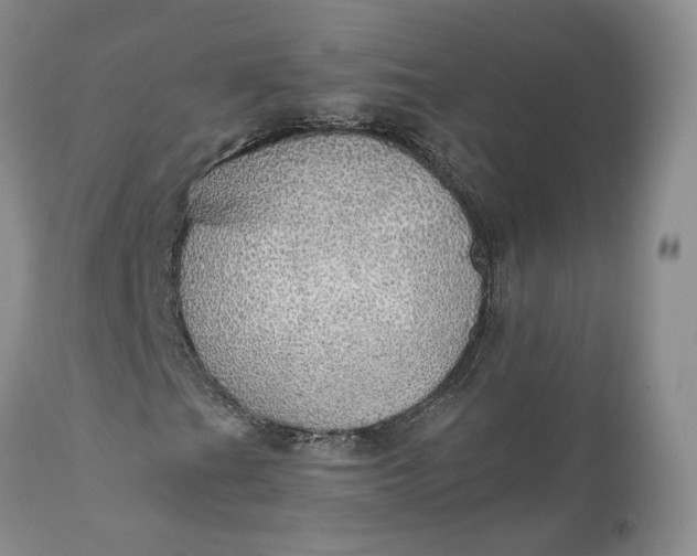 X0000111031201200907091536