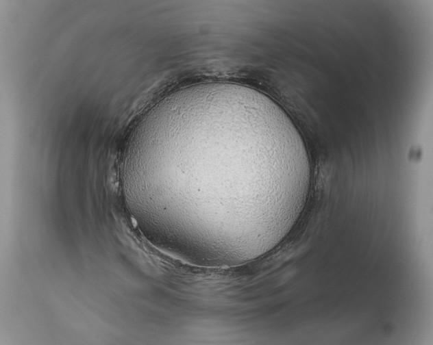 X0000111031202200907091536