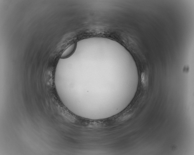X0000111031203200907091536