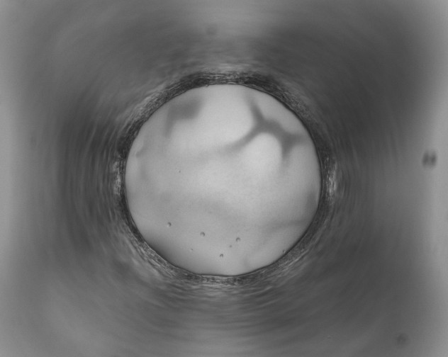 X0000111031204200907091536