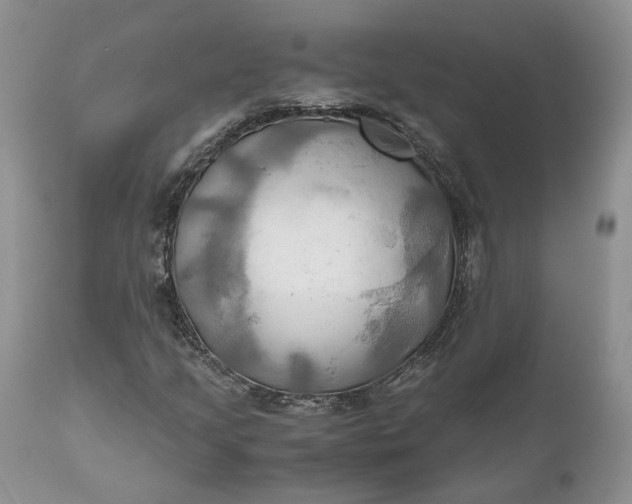 X0000111031205200907091536