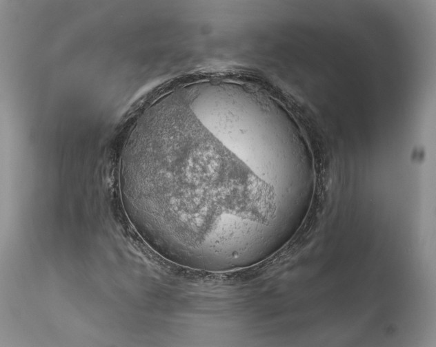 X0000111031206200907091536