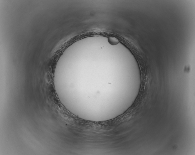 X0000111031207200907091536