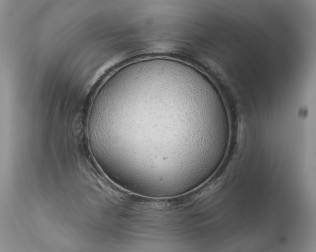 X0000111031210200907091537
