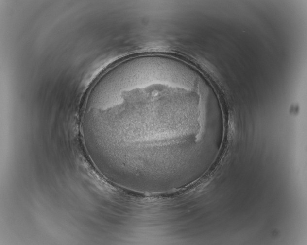 X0000111031212200907091537