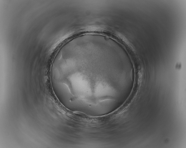 X0000111031213200907091537