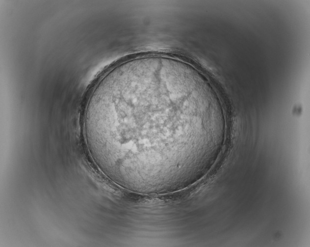 X0000111031214200907091537