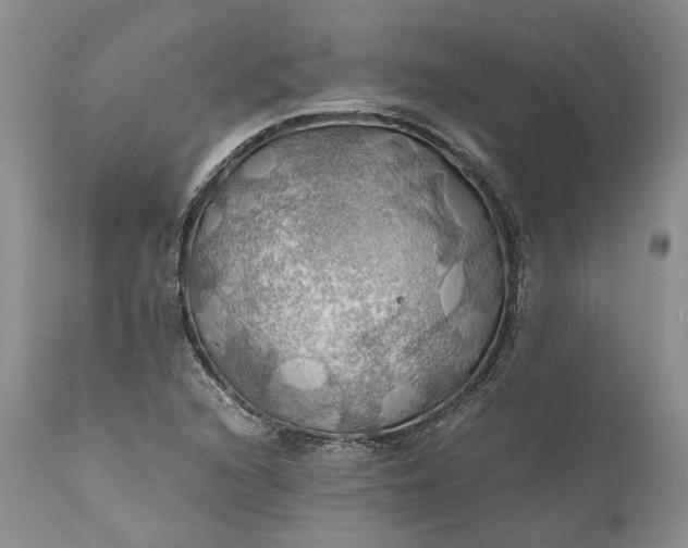X0000111031216200907091537